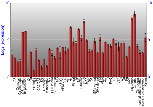 Expression graph