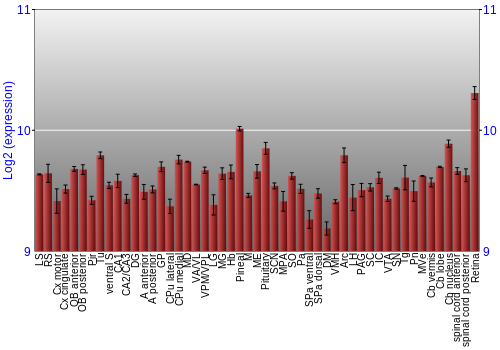 Expression graph