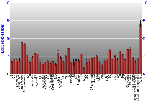 Expression graph