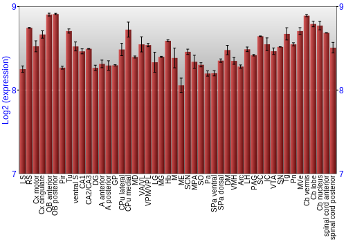 Multi-state expression graph