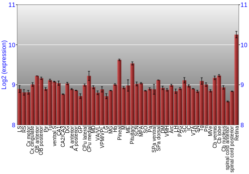 Expression graph
