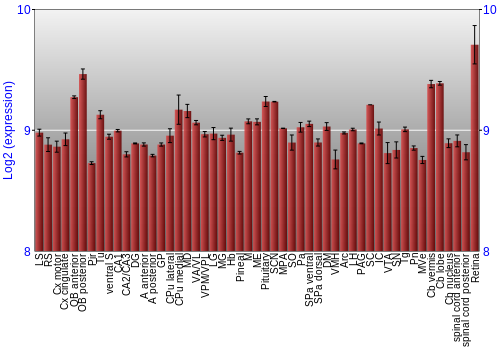 Expression graph