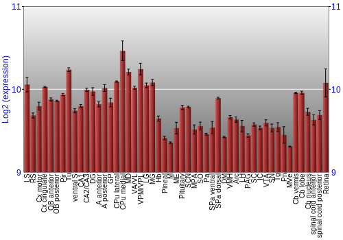 Expression graph
