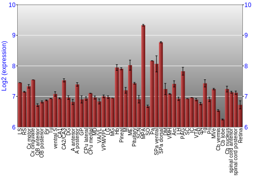 Expression graph