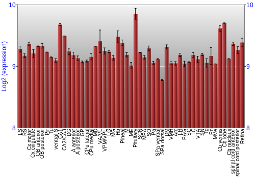 Expression graph