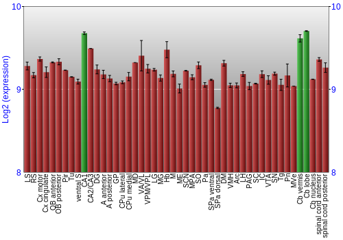 Multi-state expression graph