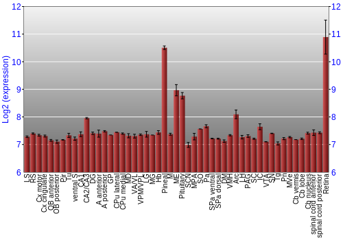 Expression graph