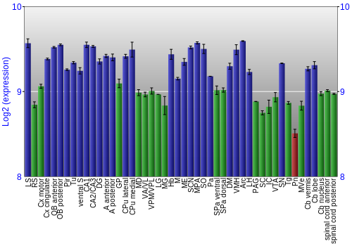 Multi-state expression graph