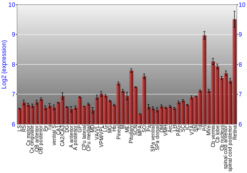 Expression graph