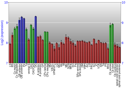Multi-state expression graph