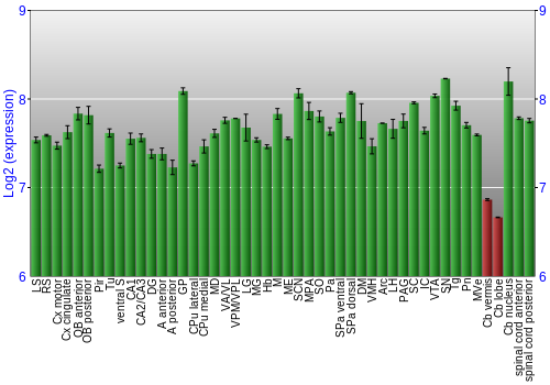 Multi-state expression graph