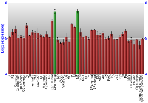 Multi-state expression graph