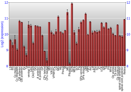 Expression graph