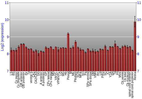 Expression graph