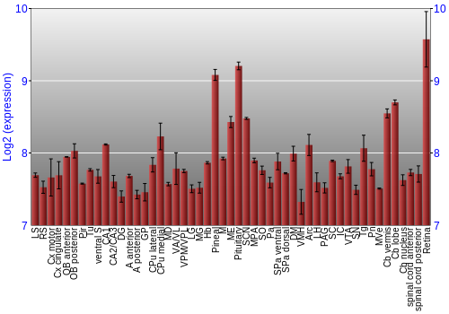 Expression graph
