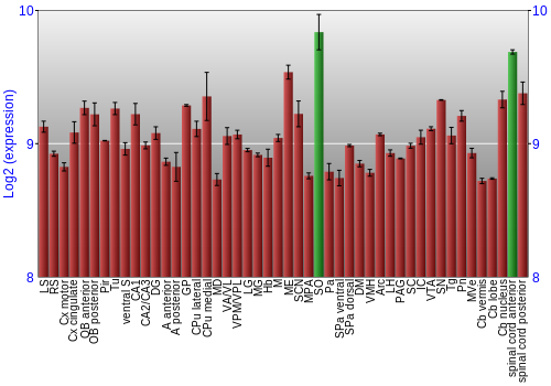 Multi-state expression graph