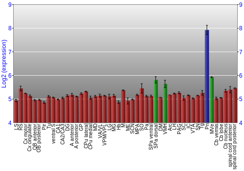 Multi-state expression graph
