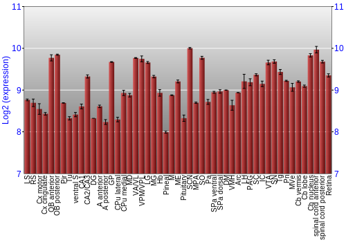 Expression graph