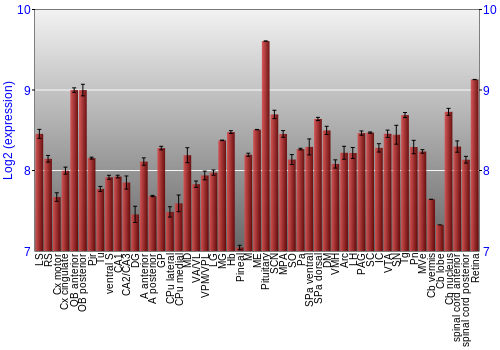 Expression graph