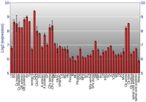 Expression graph