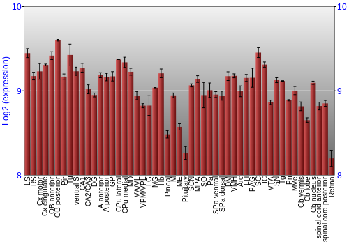 Expression graph