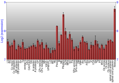 Expression graph