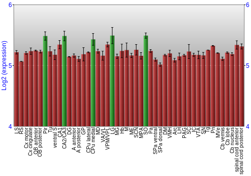 Multi-state expression graph