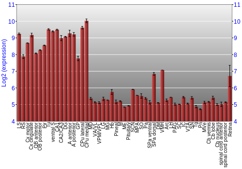 Expression graph