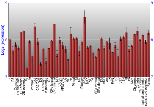 Expression graph