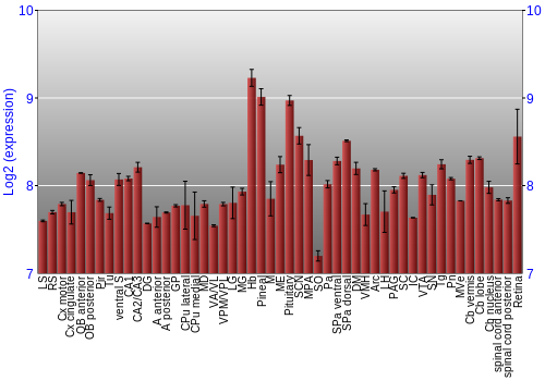 Expression graph
