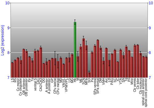Multi-state expression graph