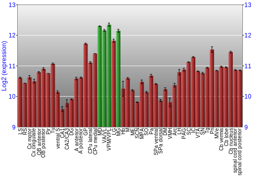 Multi-state expression graph