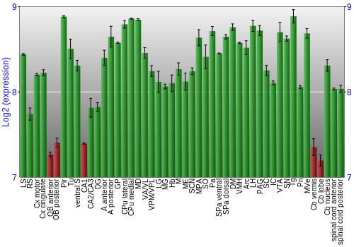 Multi-state expression graph