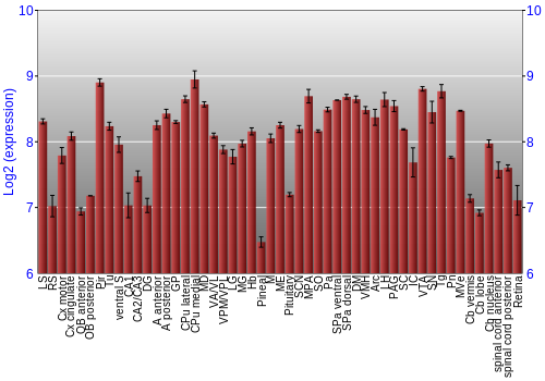 Expression graph