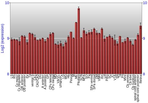Expression graph