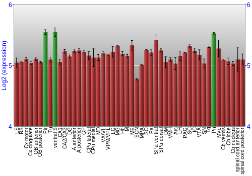 Multi-state expression graph