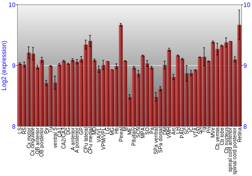 Expression graph