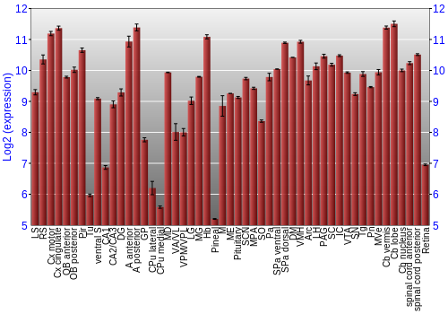Expression graph