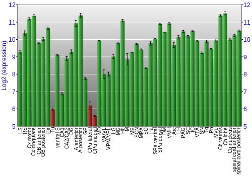 Multi-state expression graph