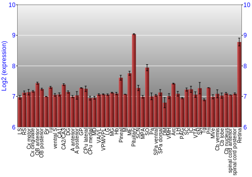 Expression graph