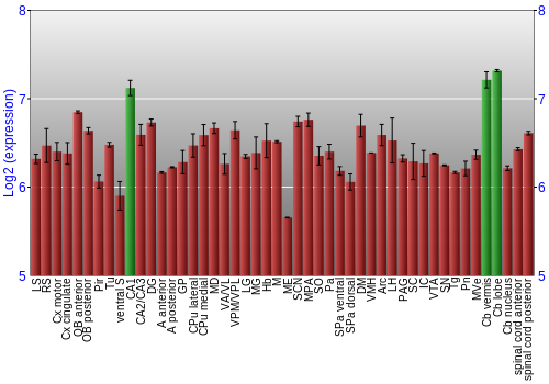 Multi-state expression graph