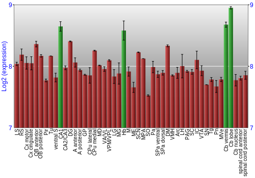 Multi-state expression graph