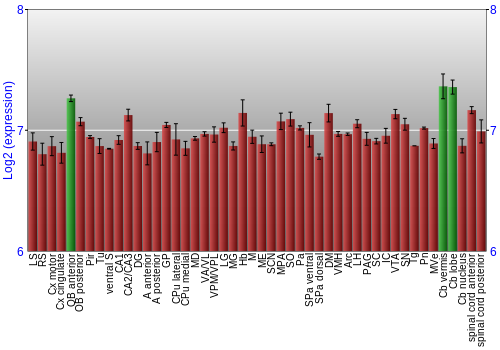 Multi-state expression graph