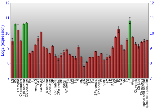 Multi-state expression graph