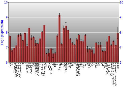 Expression graph