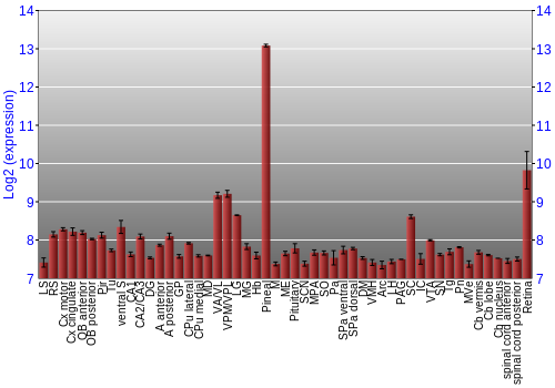 Expression graph