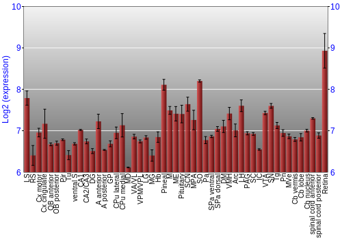 Expression graph