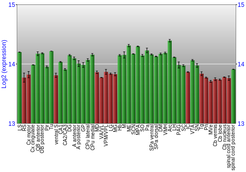 Multi-state expression graph