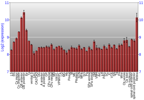 Expression graph