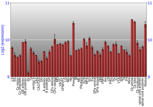 Expression graph
